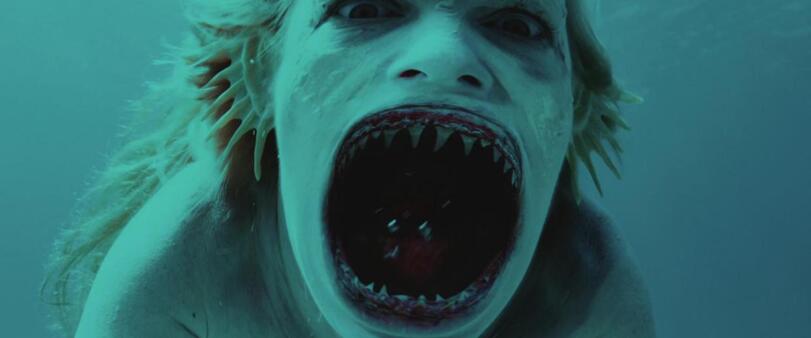 关于意大利杯今夜走向成谜；新奥尔良鹈鹕手感冰凉；悬念犹存；赛程密集仍需轮换的信息-九游体育